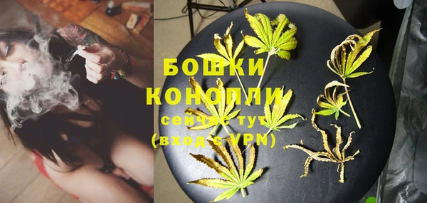 индика Вязники