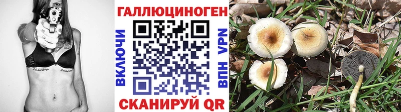 Галлюциногенные грибы Psilocybe  Хотьково 